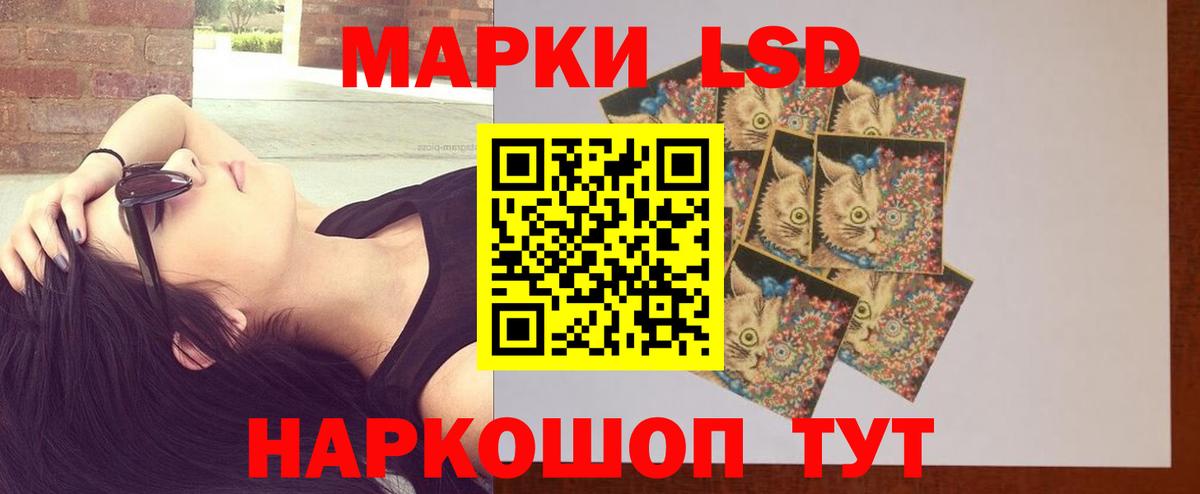 LSD-25 экстази кислота Губаха