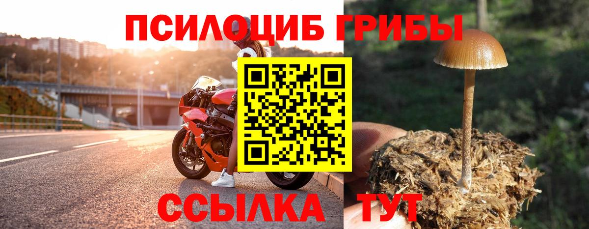Псилоцибиновые грибы Magic Shrooms Губаха