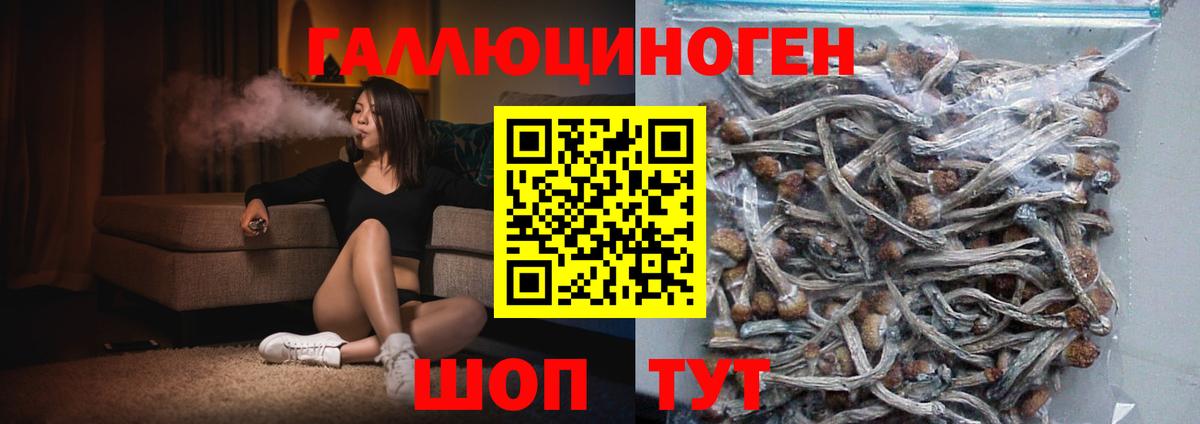 Галлюциногенные грибы Psilocybine cubensis  Псилоцибиновые грибы мицелий  Губаха  Вход с VPN 